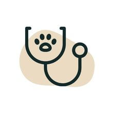 pet wellness visits icon