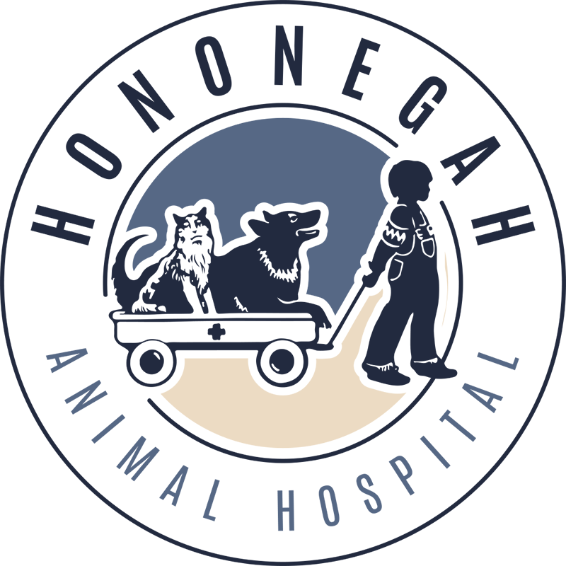 Hononegah Animal Hospital